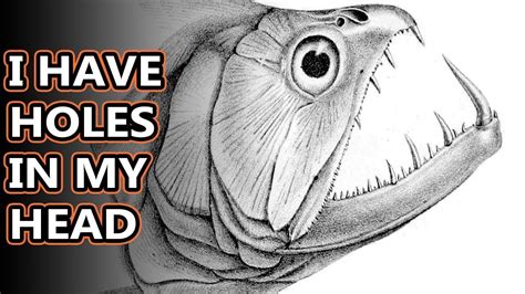 Vampire Fish facts: they have the teeth to prove it | Animal Fact Files - YouTube