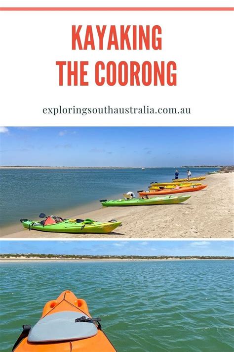 Kayaking with dolphins in adelaide dolphin sanctuary – Artofit