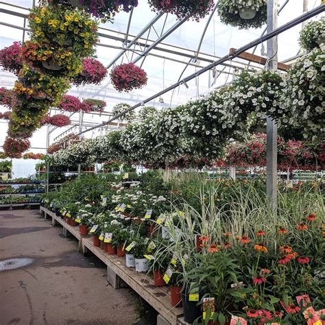 Top 16 Plant Nurseries In Hyderabad For Your Gardening Needs | LBB