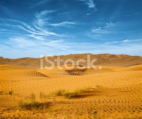 Desert Of North Africa Stock Photo | Royalty-Free | FreeImages