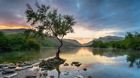 Blogging with mehar_mah: A Lone Tree In The Lovely Llanberis Lake | Lake landscape, Travel tree ...