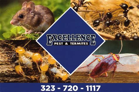 Pest control company - Los Angeles, CA - Excellence Pest Control