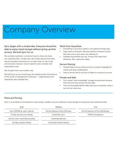 FREE 11+ Company Overview Templates in PDF | MS Word