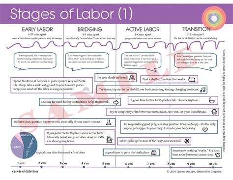 Describe the Three Stages of Labor