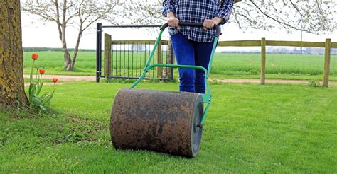 3 Best Lawn Rollers For Your Garden (2021 Review)