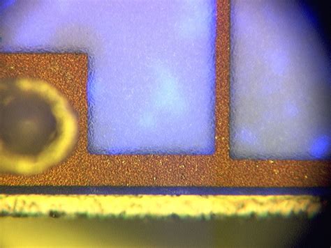 Optical Microscopy – Lab Test