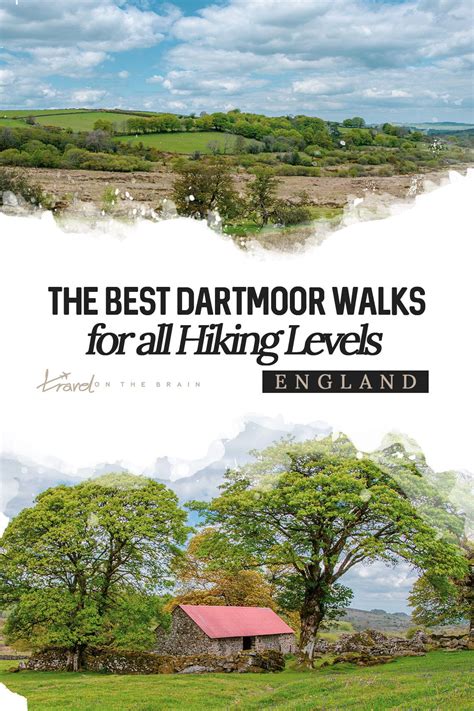 The Best Dartmoor Walks in Devon for All Hiking Levels | Dartmoor walks, Dartmoor, Dartmoor ...