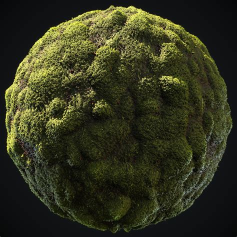 ArtStation - Moss Material, Frank van Halteren | Environmental art, Texture painting, Space ...