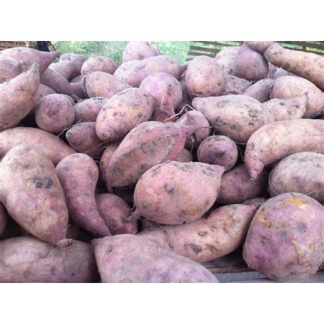 The Kamote Potatoes, Vegetables, Food, Potato, Essen, Vegetable Recipes ...