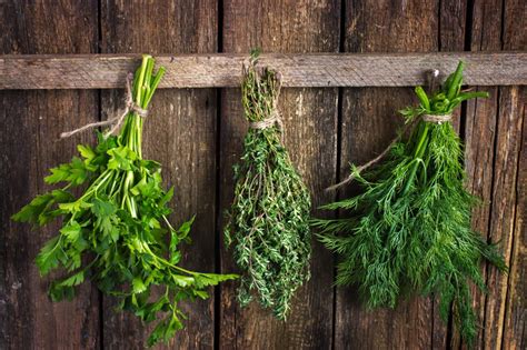 How to Dry Herbs: Herb Drying Made Easy - Ditch the Wheat