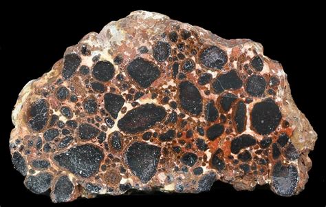 2.7" Polished Bauxite (Aluminum Ore) Slab - Australia For Sale (#46679 ...