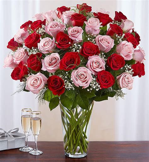 Ultimate Elegance™ Long Stem Pink & Red Roses | 1800Flowers - 100276