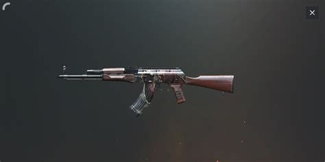 AKM SKINS