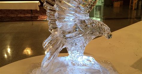 Ice sculptor’s best assets are frozen