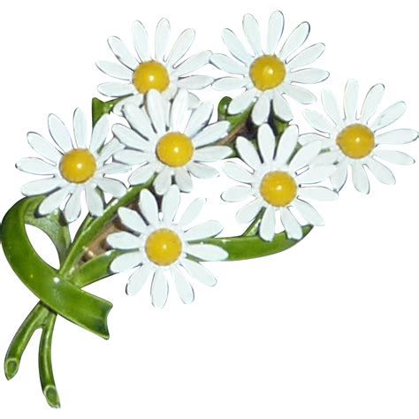 Common Daisy Flower Silhouette Clip Art Spring Forward Png Download | Porn Sex Picture