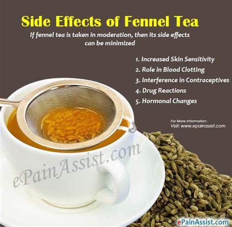 Side Effects of Fennel Tea | Fennel tea, Fennel seeds benefits, Herbs list