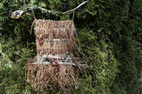 Weaving With Nature : 8 Steps (with Pictures) - Instructables