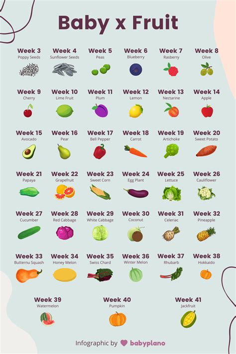 Baby size chart by week - fruits and vegetables comparison | Baby fruit size, Pregnancy baby ...