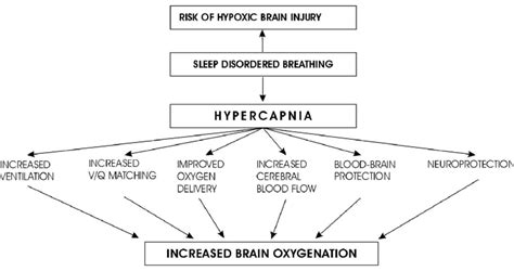 The influence of hypercapnia on brain oxygenation in sleep disordered ...