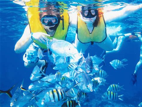 Snorkeling in Cozumel | Cozumel, Snorkeling, Places