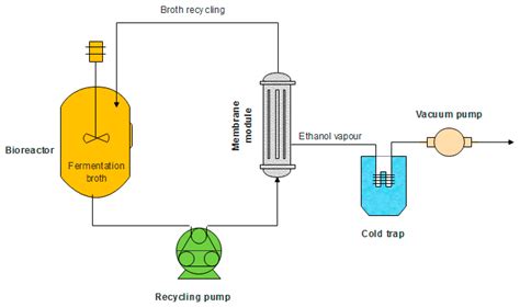 Ethanol Fermentation Process