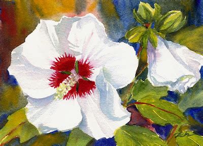 Zeh Original Art Blog Watercolor and Oil Paintings: White Hibiscus Flowers - watercolor