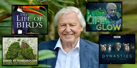 David Attenborough: 10 Best Documentaries to Watch - 8Shades