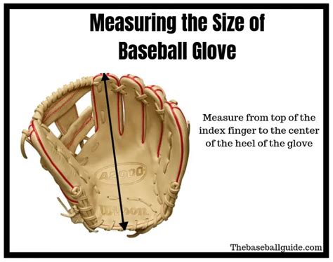 How to Measure Hand for Baseball Glove in 2023 - Full Guide