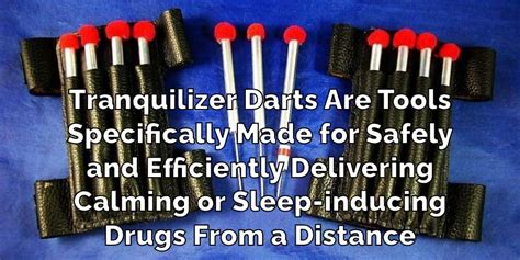 How Fast Do Tranquilizer Darts Work on Humans: Understanding Sedatives