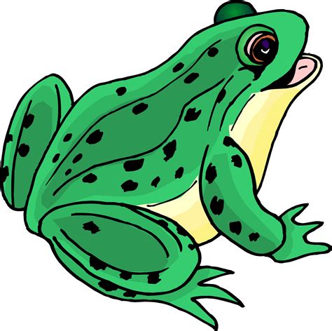 Green big Frog drawing free image download