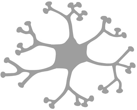 SVG > cell system nervous synapse - Free SVG Image & Icon. | SVG Silh