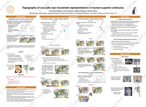 (PDF) Topography of saccadic eye movement representations in human ...