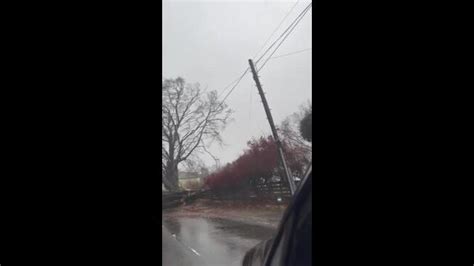 Storm Gerrit Winds Topple Trees in Western Scotland | NT News