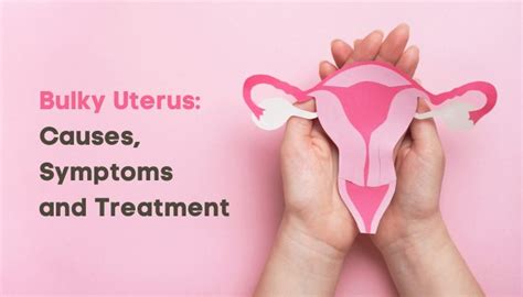 Bulky Uterus: Causes, Symptoms and Treatment Options