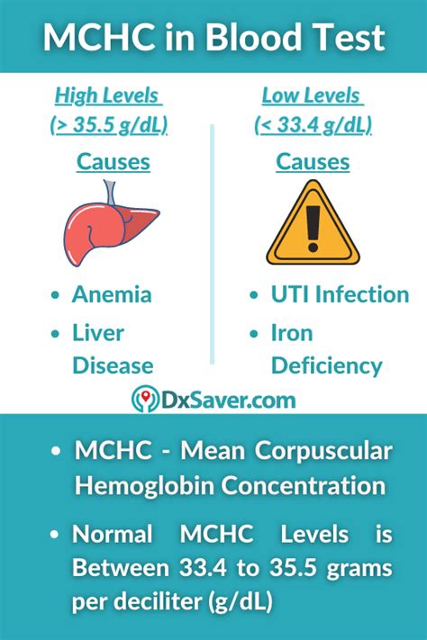 Understanding Low MCHC Blood Test Results: Causes and Next Steps - Health Survivalist