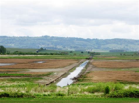 File:Irrigation ditch.JPG - Wikimedia Commons