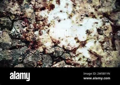 Hd rock texture Stock Videos & Footage - HD and 4K Video Clips - Alamy