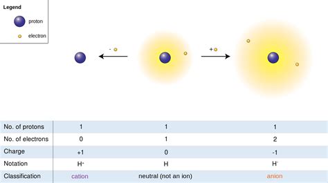 Difference Between Cation and Anion