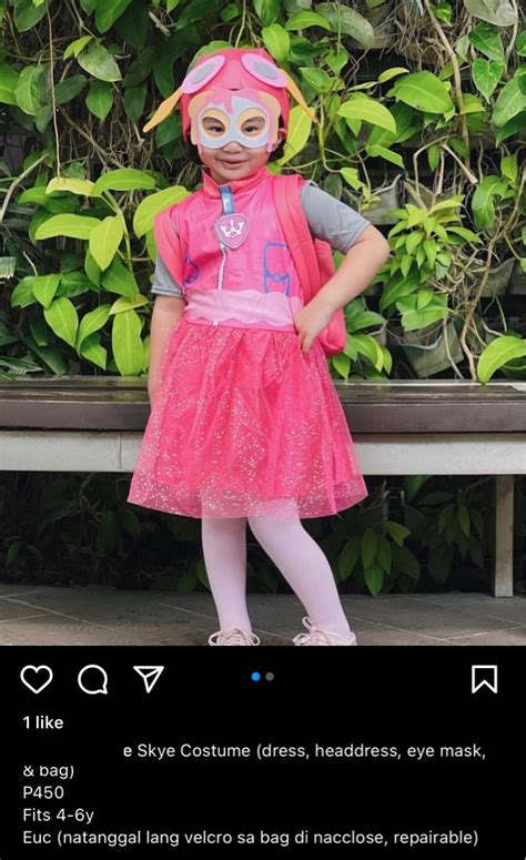 Paw Patrol Skye Costume on Carousell