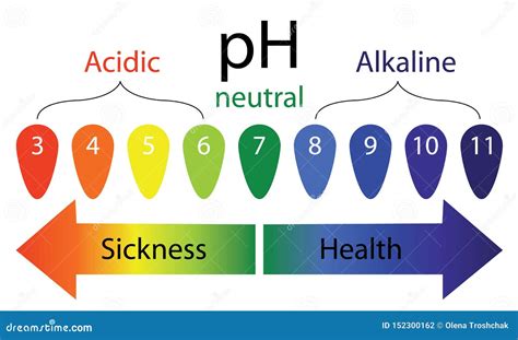 PH Level Scale Showing Sickness and Health in Human Body Stock Vector - Illustration of body ...