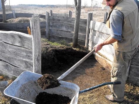 Compost Toilet: How We Turned Human Waste Into Compost & How You Can Too