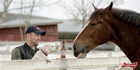 What do Puppies and Horses have to do with Beer?? | Drugs Advertisements Debunk