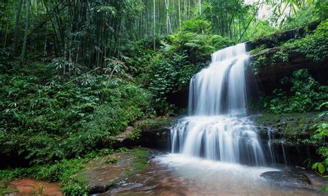 Cascade - Yibin Bamboo Sea - Sichuan (China) | The Bamboo Fo… | Flickr