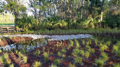 Recreation | Wekiva (U.S. National Park Service)