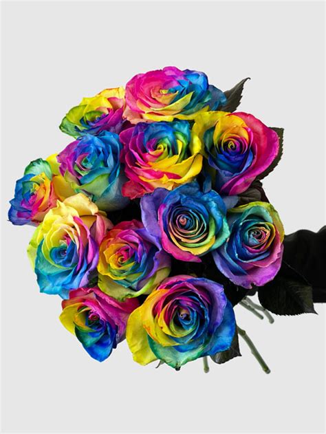 Long Stem Rainbow Roses - Terrafolia Flowers