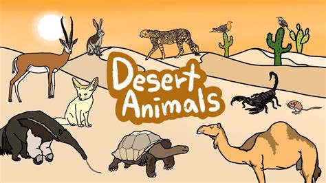 Desert Animals | Let's Learn Desert Animal names in English | Kids Draw - YouTube