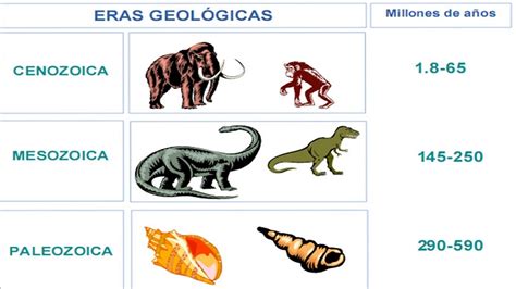 Eras geológicas – Qué es, concepto y definición