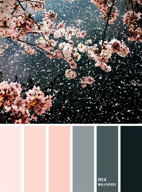 19 The Perfect Pink Color Combinations { Black + Blush + grey }, pink color palette, colour ...