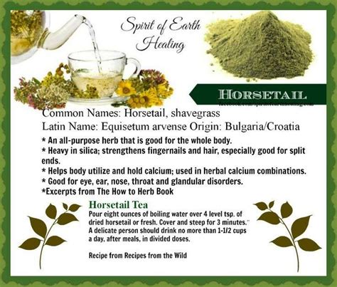 Pin by Shelly Starr on Health Helpers | Herbs for health, Healing herbs, Herbalism