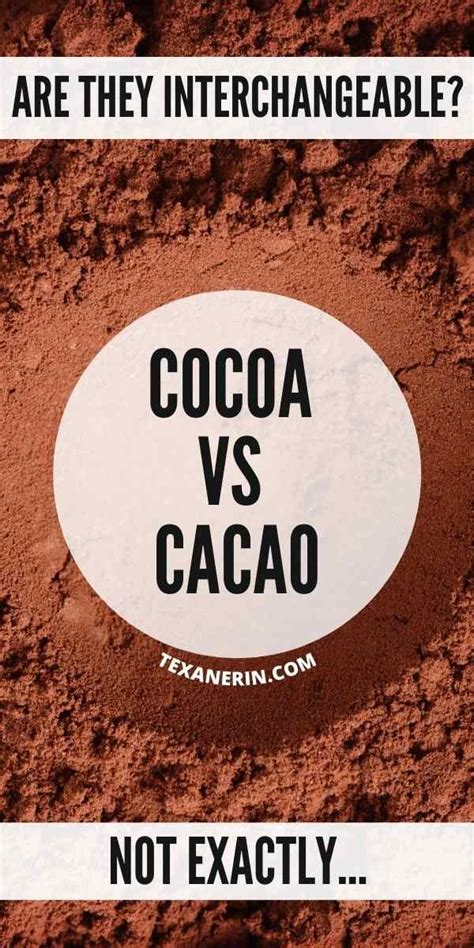 an image of cocoa vs cacao